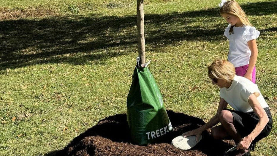 Two people planting a tree with a green bag labeled 'Treeee' in a park setting.