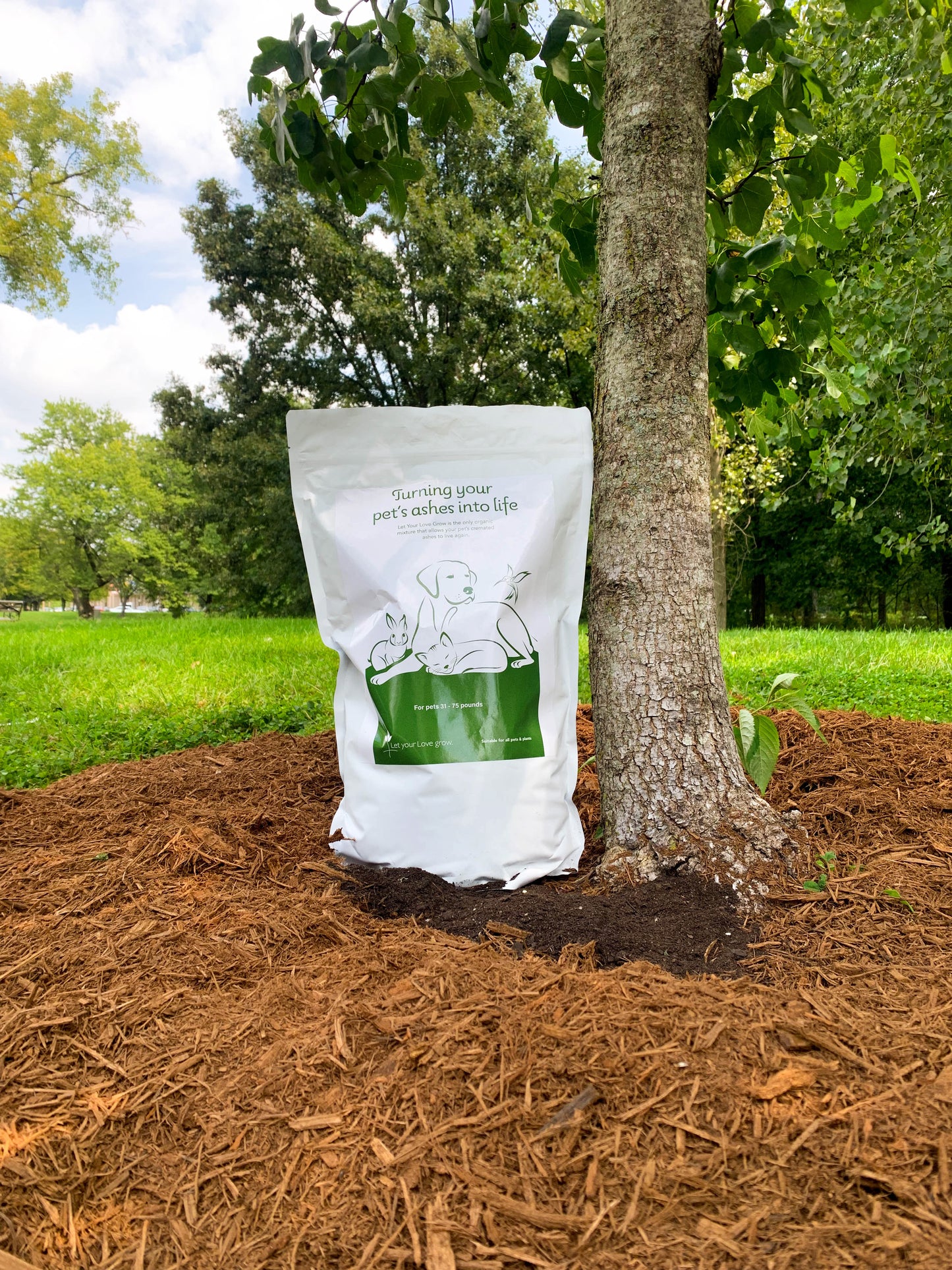 Treebute® Organic Soil Blend Bag