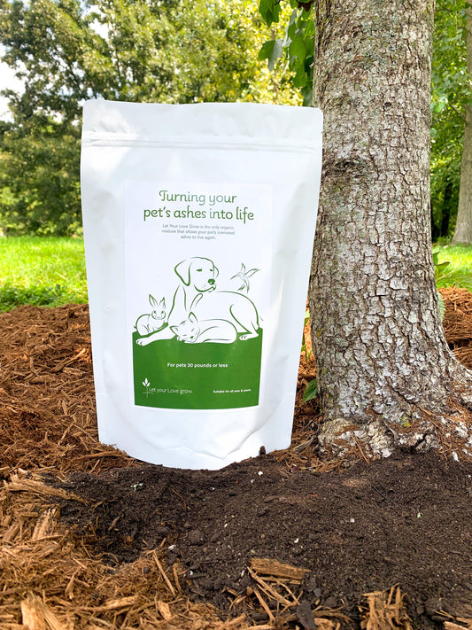 Let Your Love Grow® Organic Soil Blend Bag - Treebute Kits