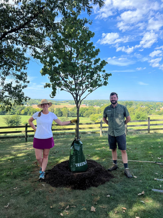 Growing Legacy: A Conversation with Elizabeth Schenk, Co-Founder of Treebute