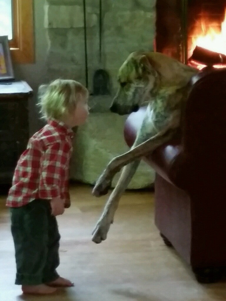 Child with their family pet nose-to-nose - Indoor Treebute Kit memorial tree growing in loving memory of a cherished pet dog