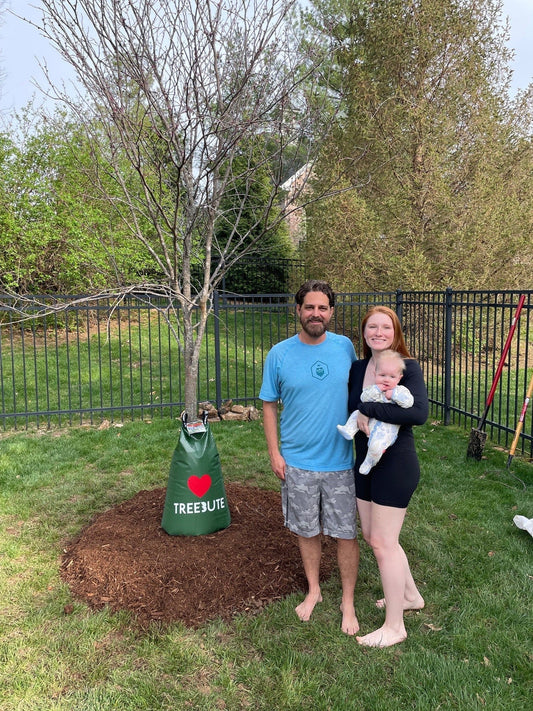 Treebute Plants Eastern Redbud “Trees with Heart"