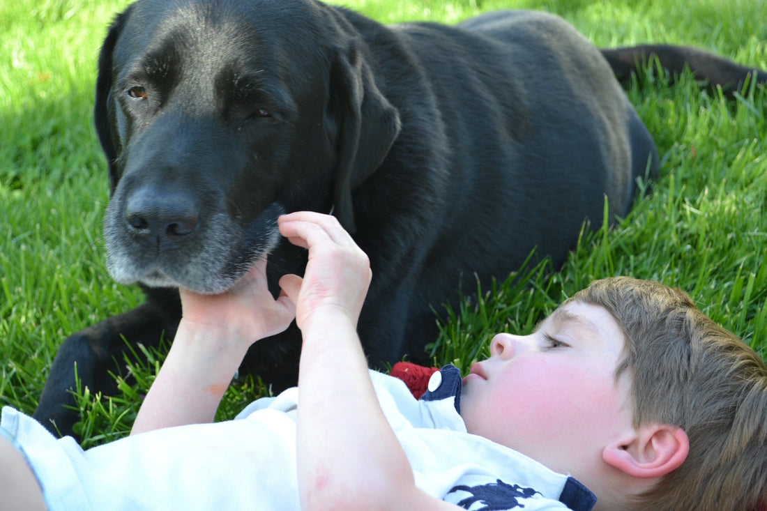 A pet is a home when they are here, so why not give them one when they are gone?
