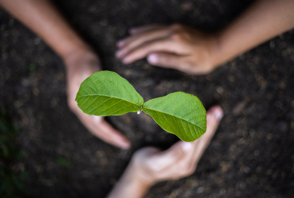 Three Meaningful Places for Your Loved One’s Cremation Ashes