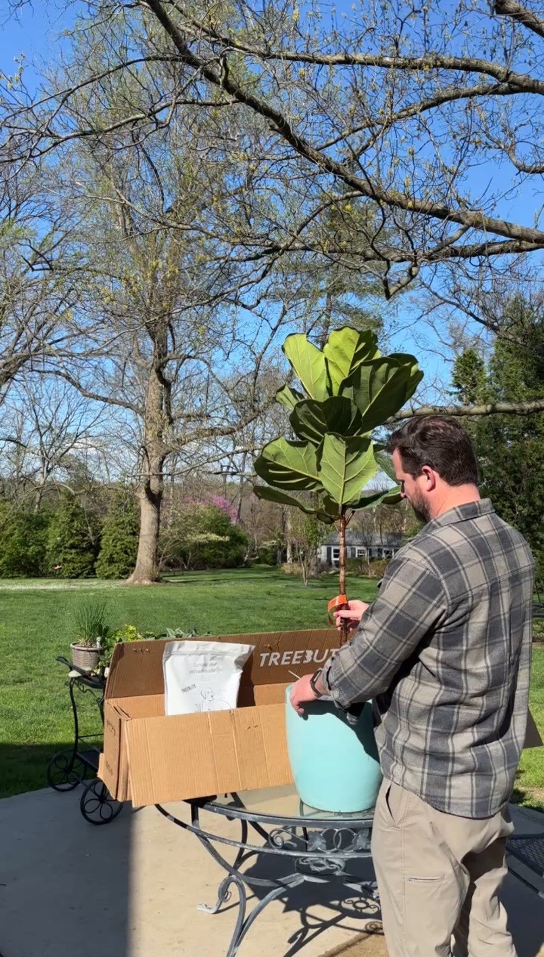 Man standing outside on a patio unboxing a Treebute Kit Fiddle Leaf Fig, light blue planter, and cremation-safe soil