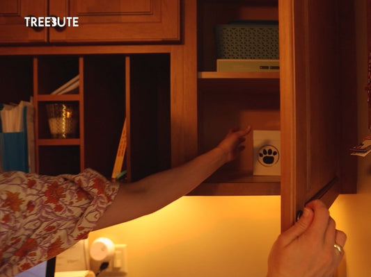 A woman is reaching into a cabinet to a box of pet ashes