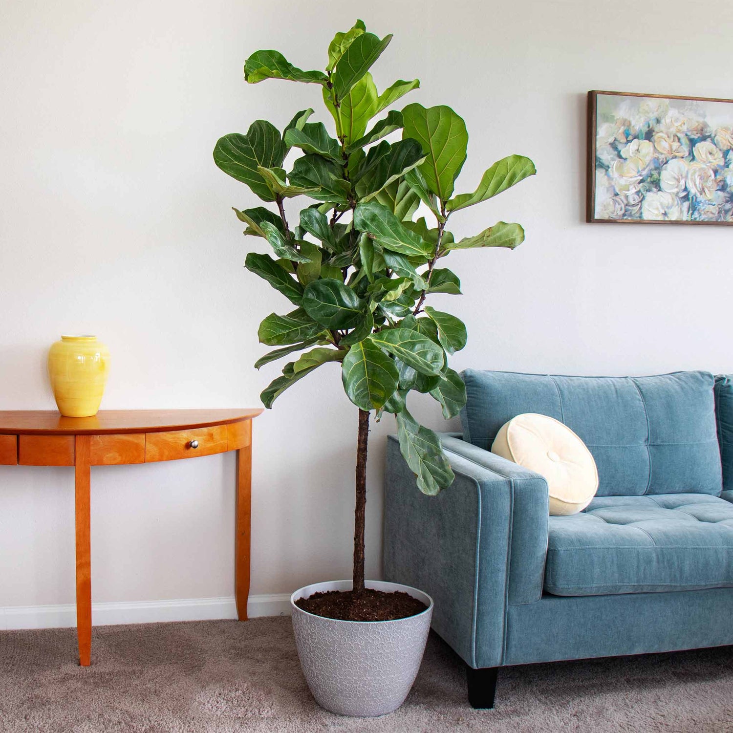 Indoor Memorial Trees and Plants