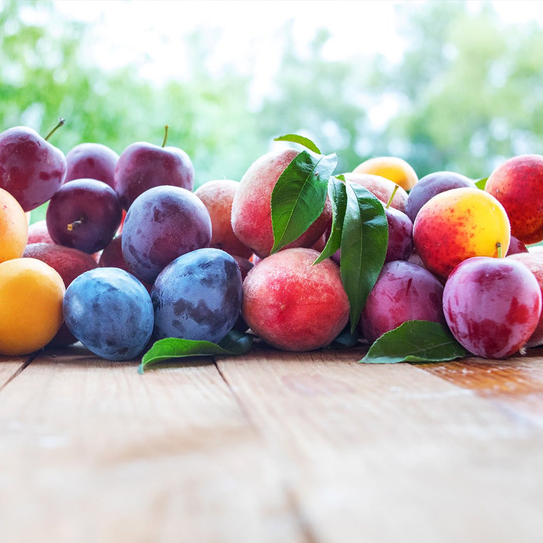 Fruit Memorial Trees