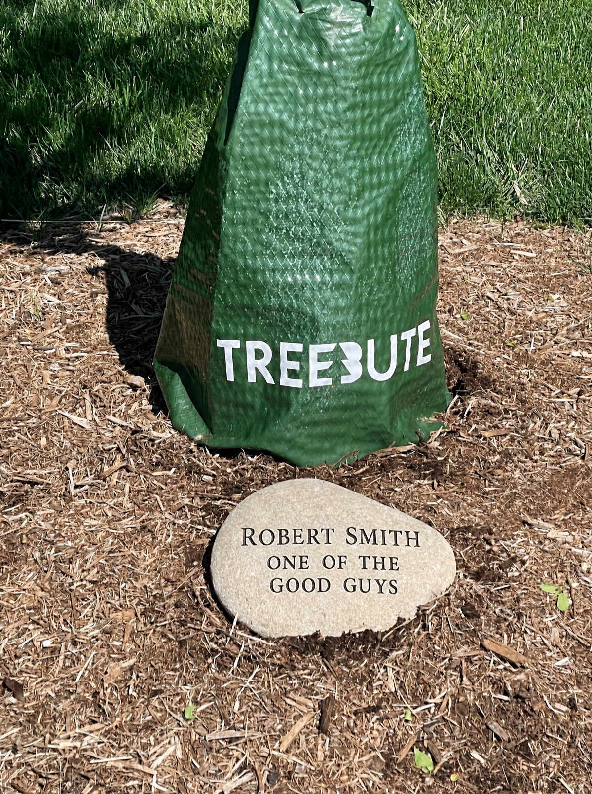 engraved personalized river rock rests at the base of a memorial tree mulch ring
