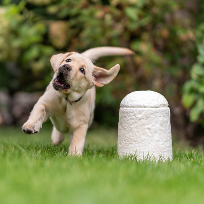 Loop FurEver™ Mushroom Pet Urn