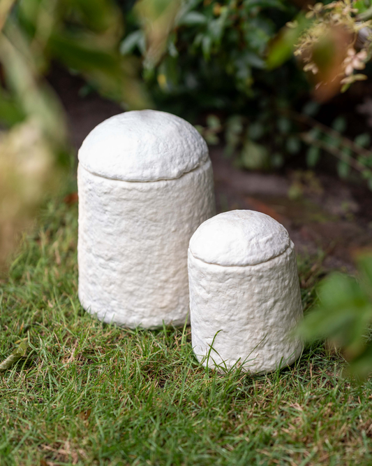 Loop FurEver™ Mushroom Pet Urn