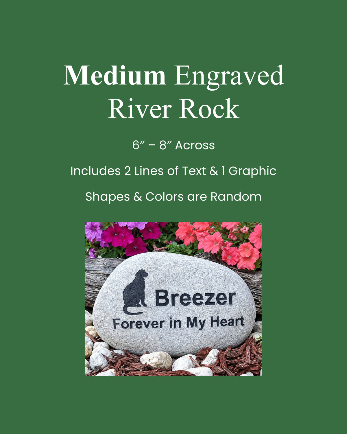 A green product listing graphic for a medium engraved river rock memorial stone. White text at the top reads 'Medium Engraved River Rock' with size and customization details.