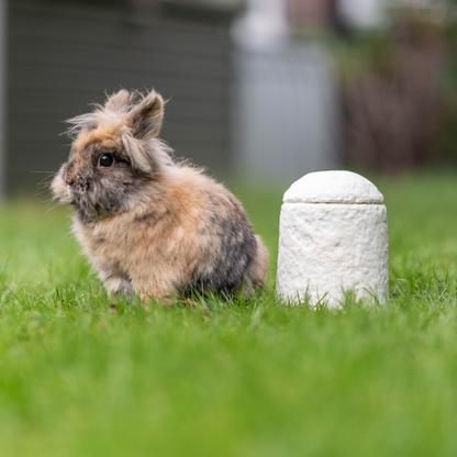 A fluffy tricolor rabbit sits on green grass next to a small white cylindrical stone marker or grave stake, with a blurred outdoor background.