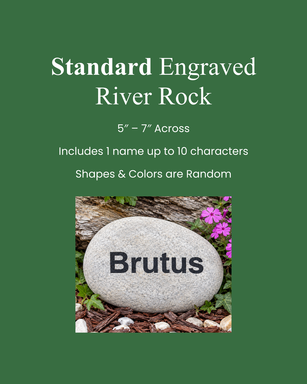 A green informational graphic for a standard engraved river rock. White text reads 'Standard Engraved River Rock,' '5" - 7" Across,' 'Includes 1 name up to 10 characters,' and 'Shapes & Colors are Random.