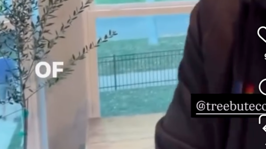 A social media reel screenshot showing a veterinarian indoors near a window, with text sharing the memorial tree she recently planted for her "heart dog" using cremation ashes. The person is wearing a dark brown jacket, and the background includes a window, blinds, and outdoor greenery.