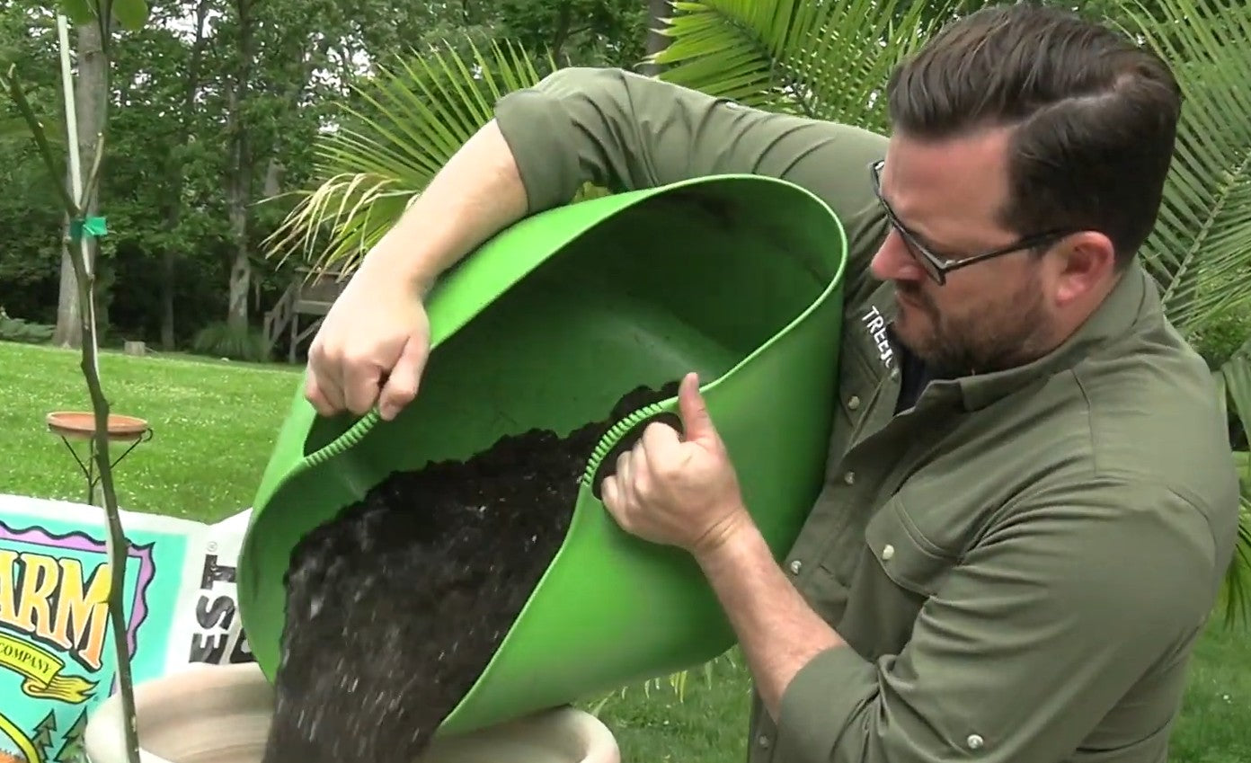 In this video, Treebute gently guides you through the steps for planting an indoor tribute tree. This demonstration includes incorporating cremation ashes, which are an optional yet eco-friendly solution and gentle way to keep your loved one or beloved companion's memory close.