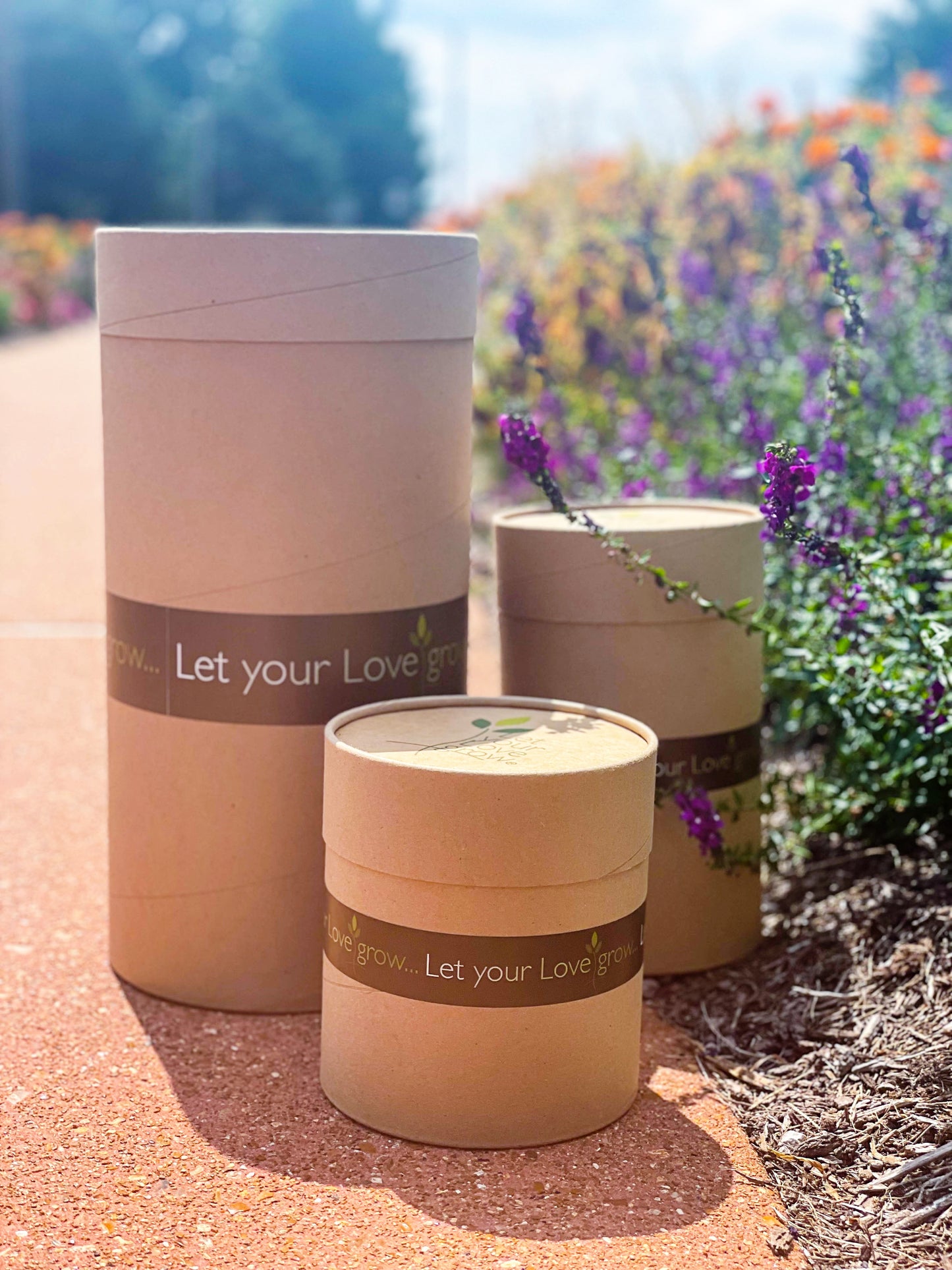 Eastern Redbud (Memorial)