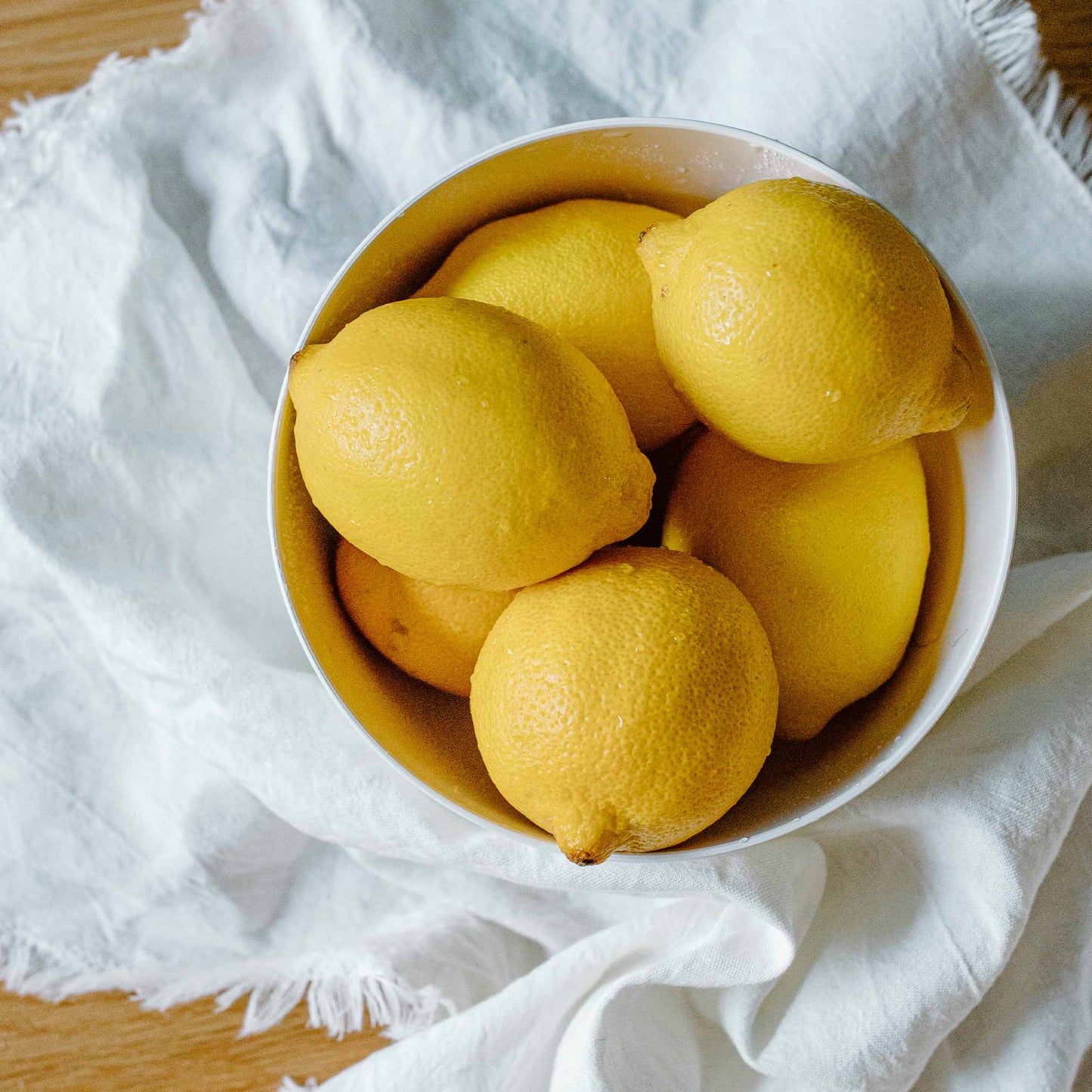 Improved Meyer Lemon Bush (Pet)