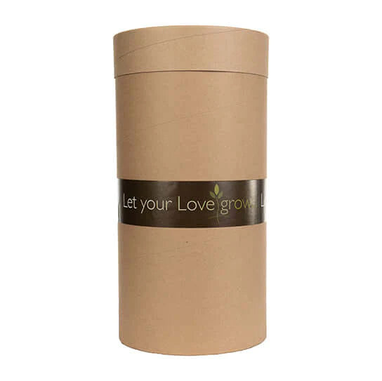 Eastern Redbud (Memorial)