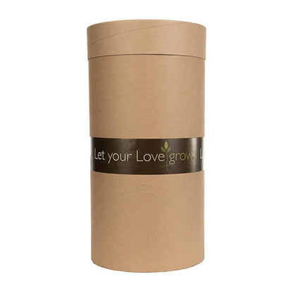 Eastern Redbud (Memorial)