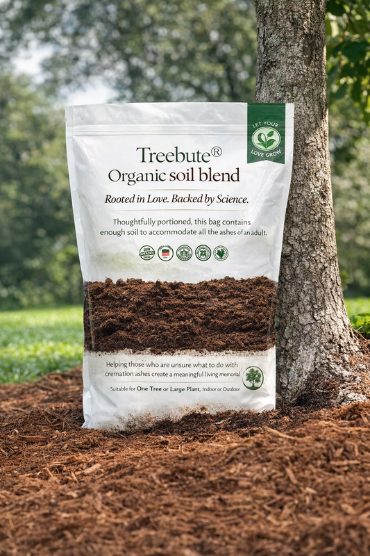 Treebute organic soil blend package next to a tree used to memoralize a loved one's cremation ashes into a living tribute