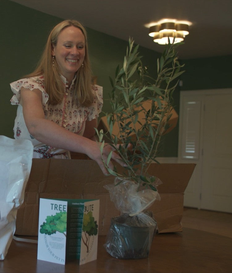 Tree Burial Kit How Memorial Tree Kits Work | Treebute