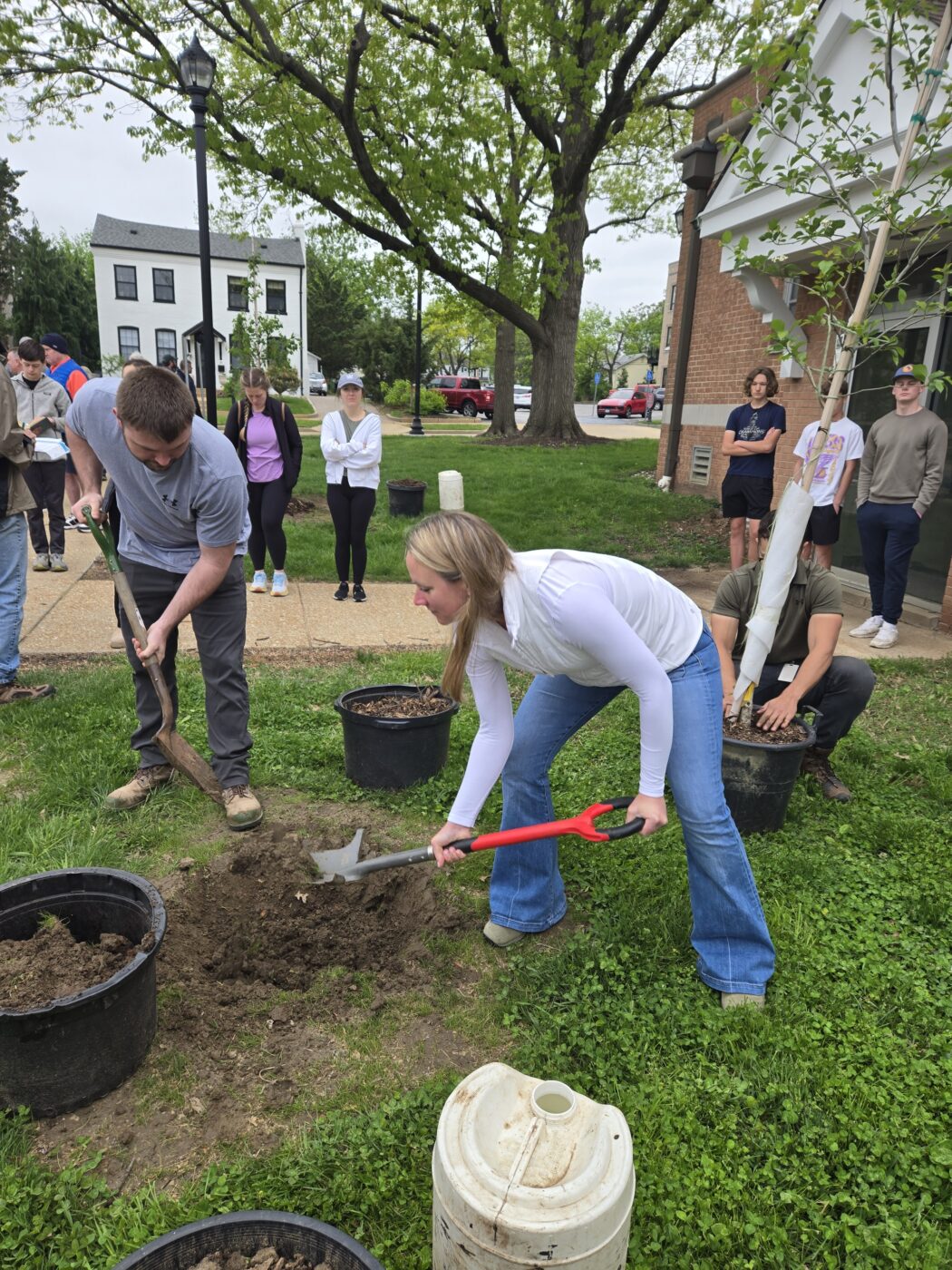 Arbor Day 2025